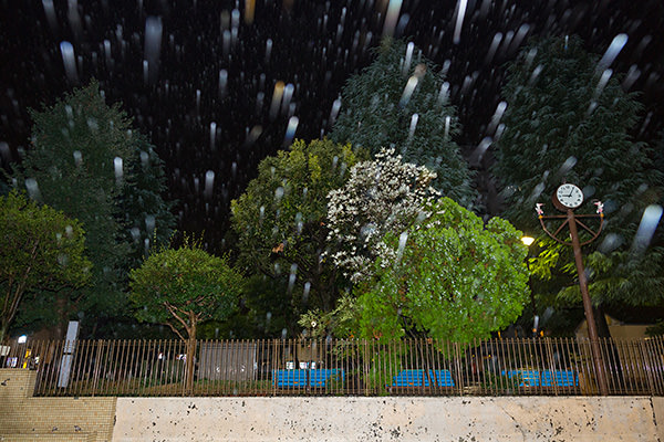 Rainy night scene with trailing bokeh circles