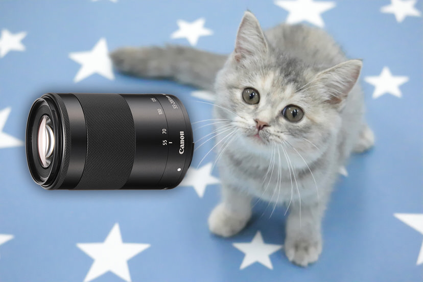 EF-M55-200mm f/4.5-6.3 IS STM評測：輕便、可靠的遠攝變焦鏡頭