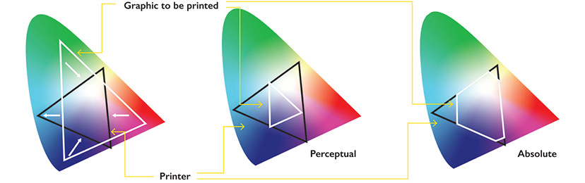 Perceptual so với Absolute Rendering Intent