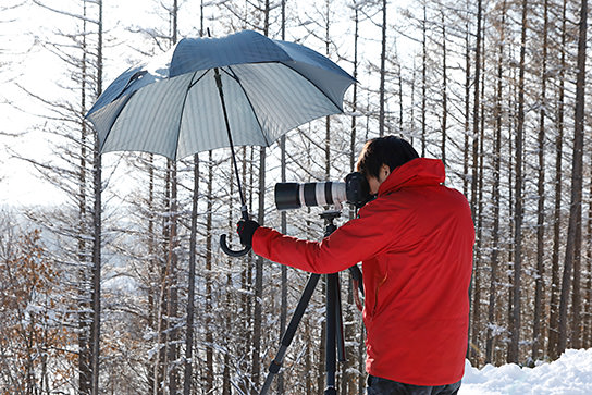 Using an umbrella to block excess light