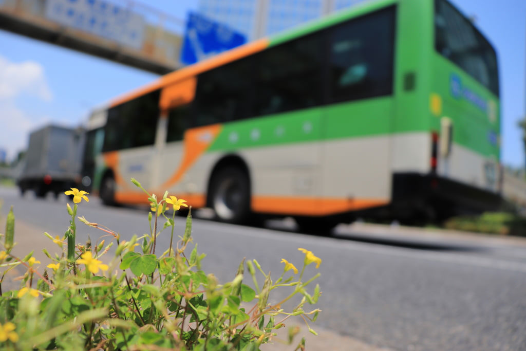 Low position shot using EOS 200D and Touch AF