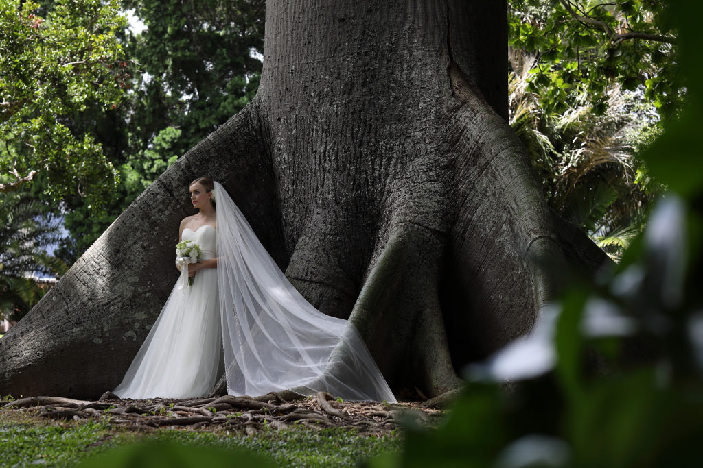 Bidikan foto pernikahan di luar ruangan dengan EF85mm f/1.4L IS USM (koreksi aberasi)