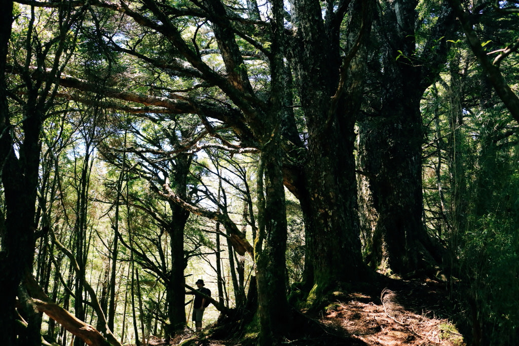 Hiking up a mountain, shot with the EOS M6