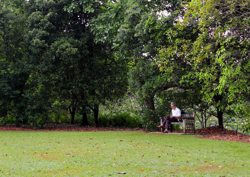 elderly sitting in a park using EOS M5