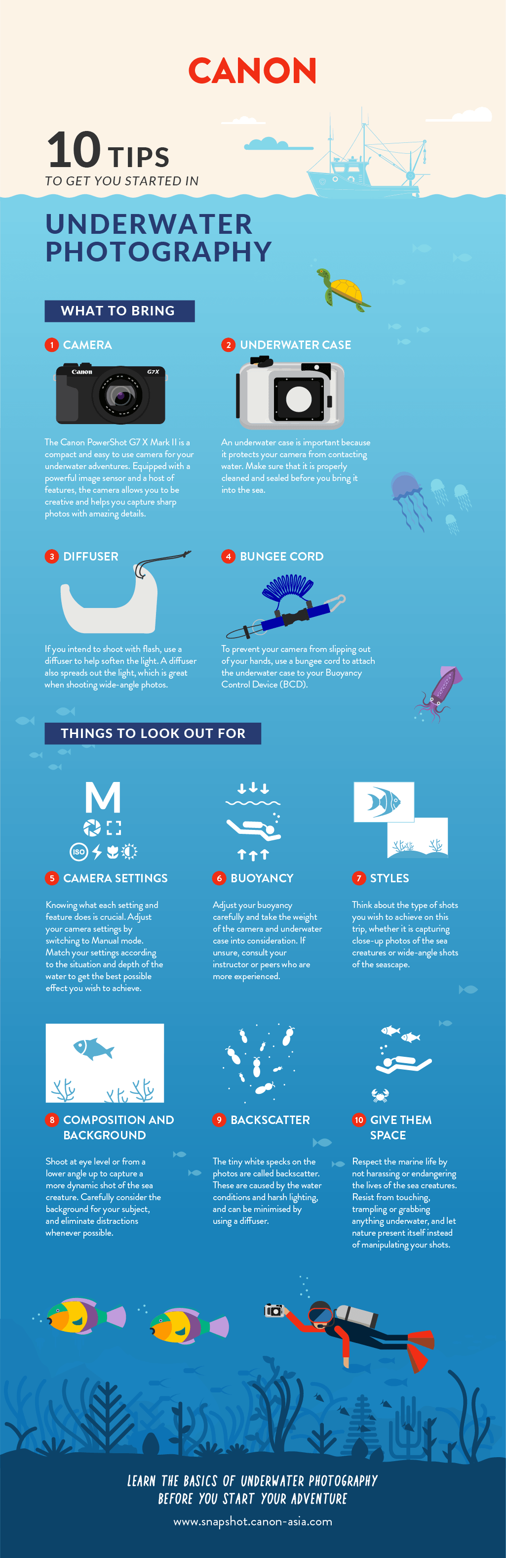 10 Tips to Get You Started in Underwater Photography