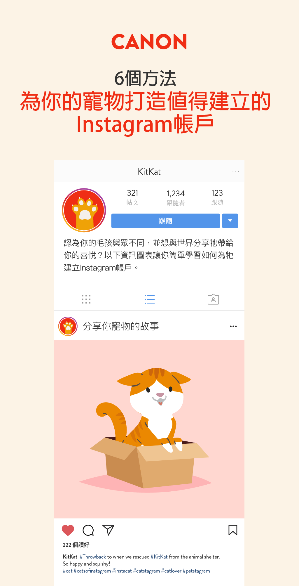 6個方法為你的寵物打造值得建立的Instagram帳戶-1