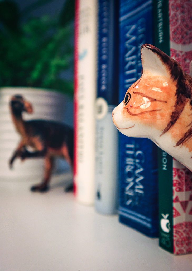 book ends with books on shelf