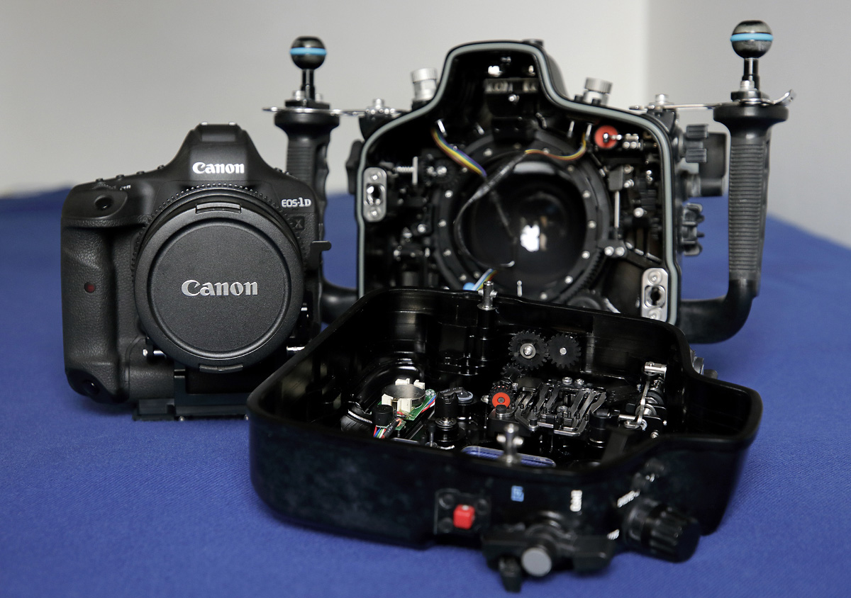 1dx mark ii with underwater housing