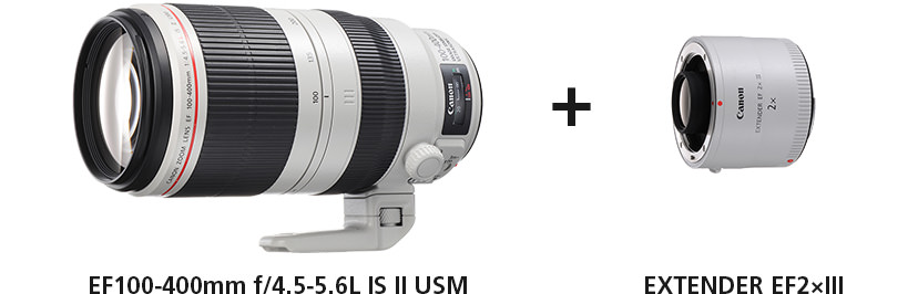 EF100-400mm f/4.5-5.6L IS II USM,EXTENDER EF2×III