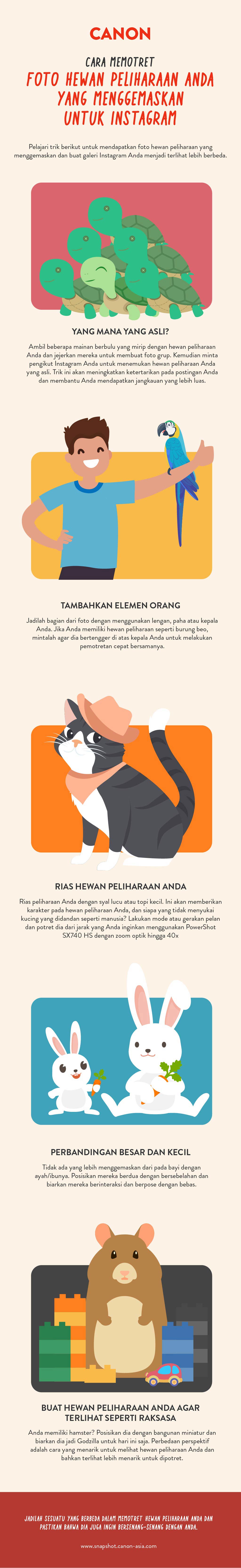 How to Take Adorable Photos of Your Pet for Instagram infographics