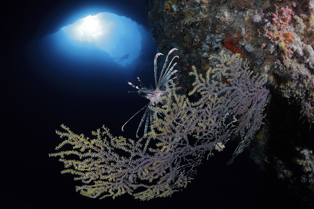 Clever mix of a black background with a blue background makes an interesting wide angle image