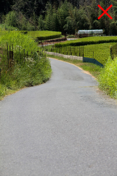 Winding country path