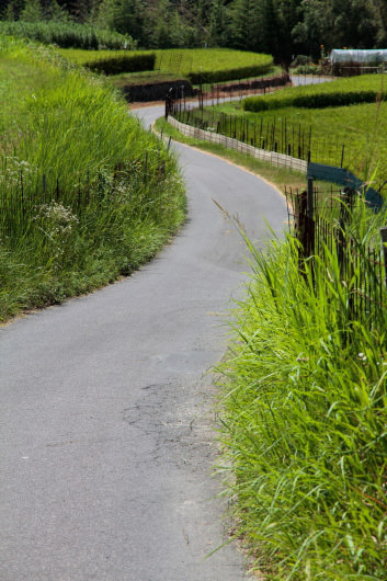 Winding country path