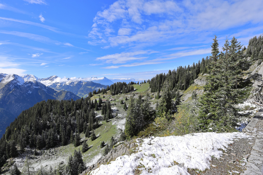 Cảnh dãy núi Alps ở Thụy Sĩ từ xe lửa