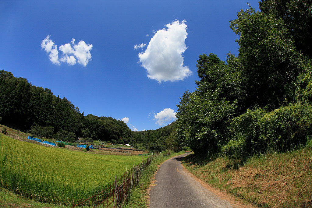 對角魚眼鏡頭風景照