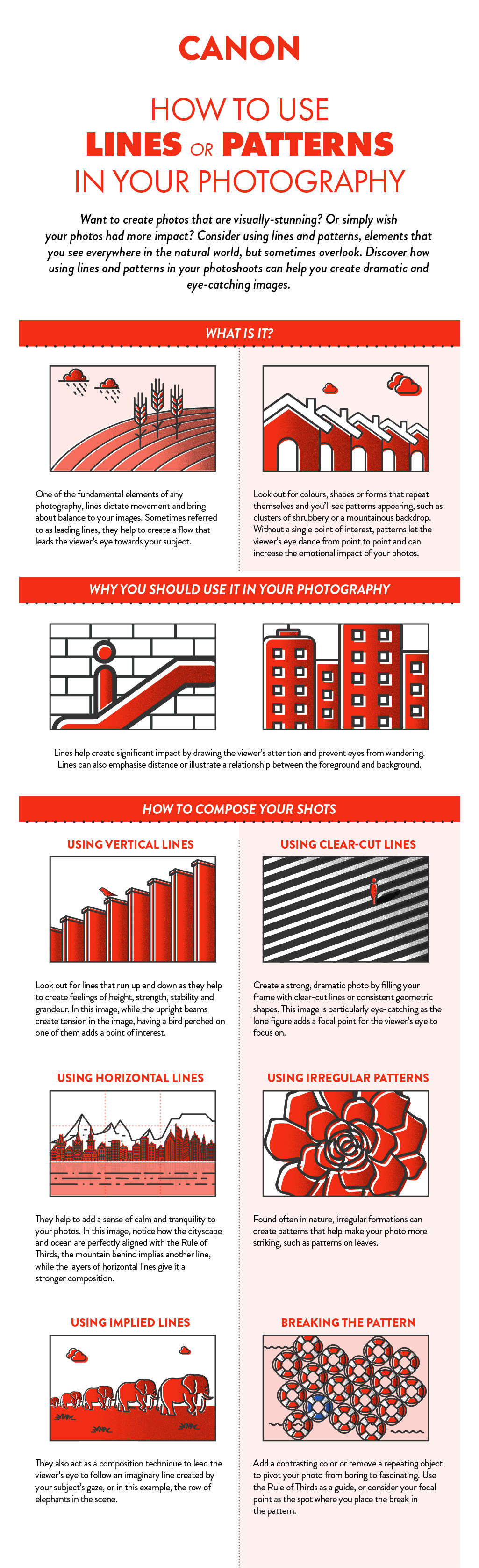 infographic photography