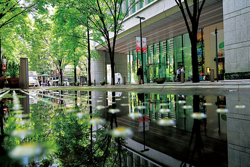 Reflections in a water puddle on the street