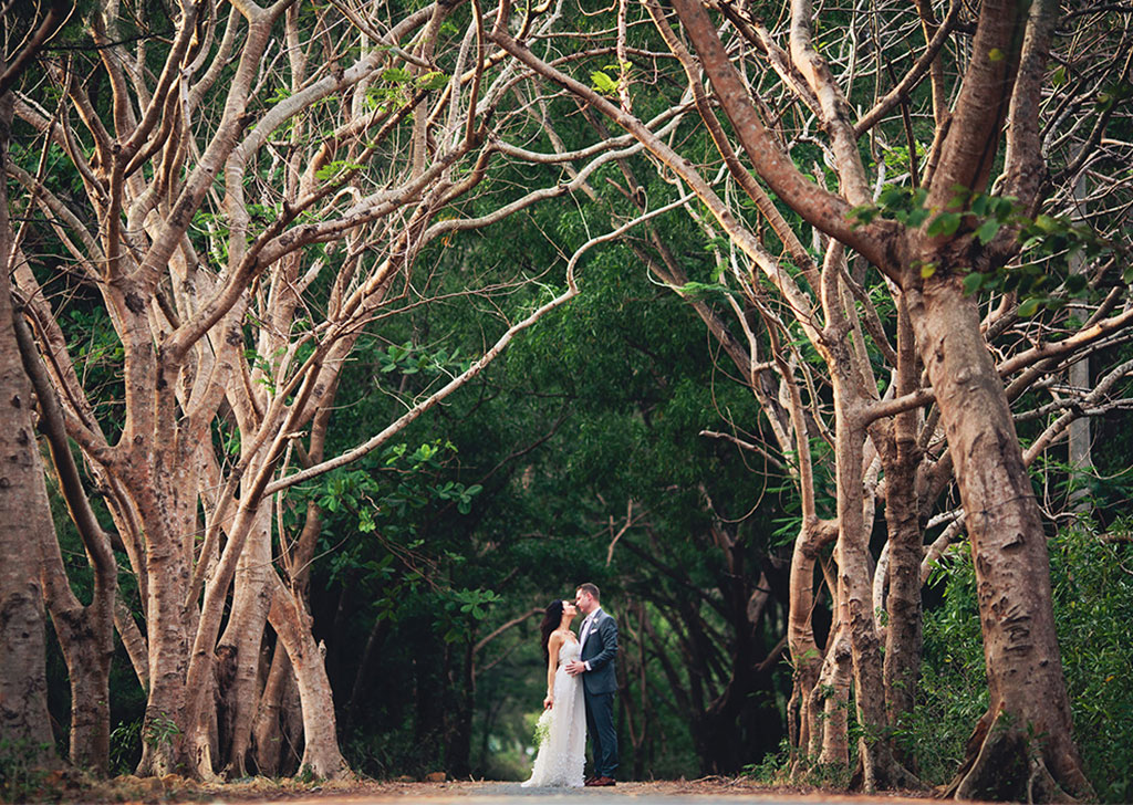 wedding couple posing in the woods