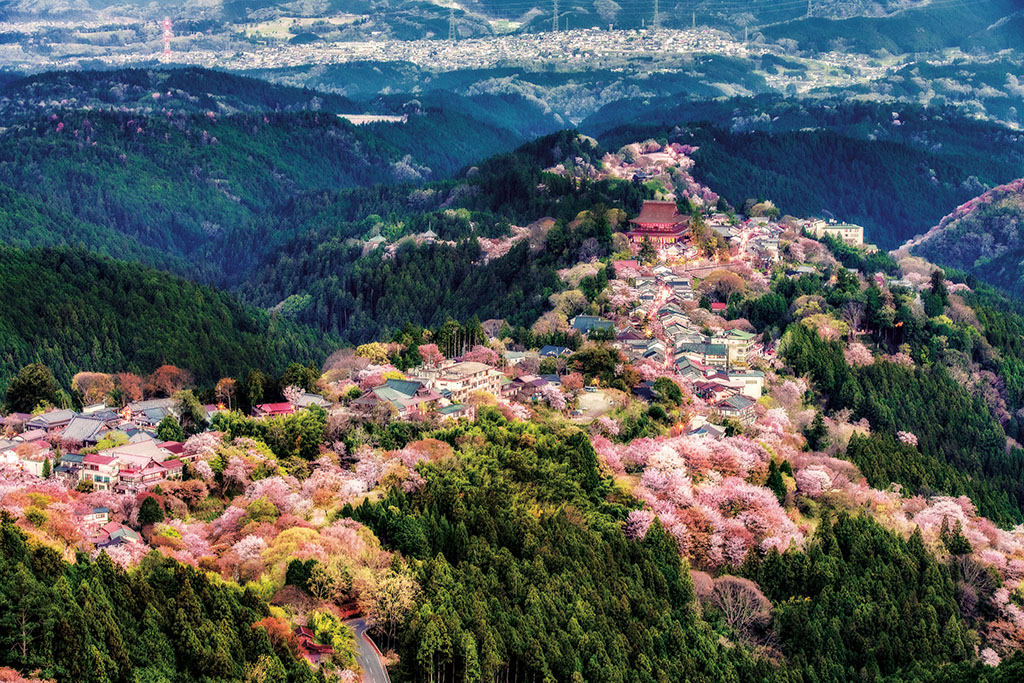 Panoramic view of Mount Yoshino during sakura season without sea of clouds