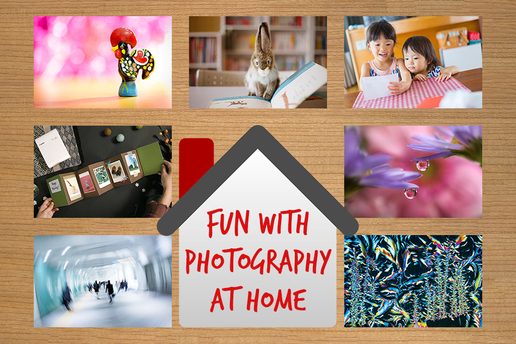 7 Fun Indoor Photography Ideas to Try At Home