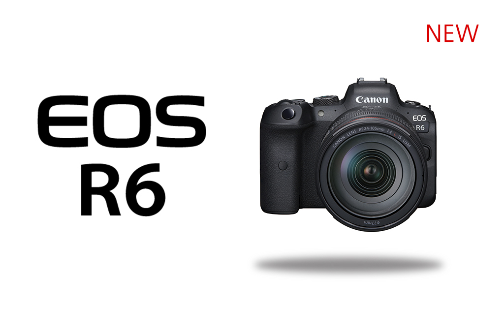 CANON EOS R6