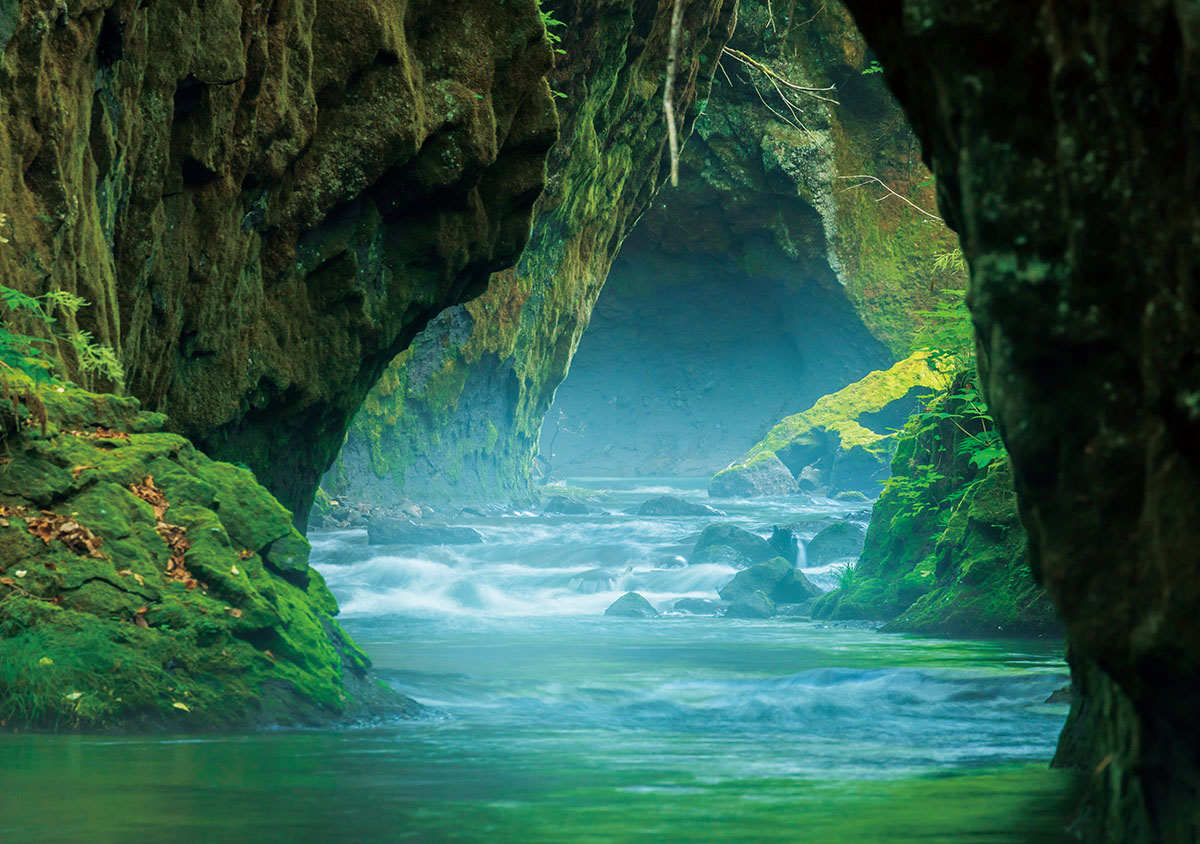 Super Telephoto Landscapes A Mysterious “Cave” in a MossCovered
