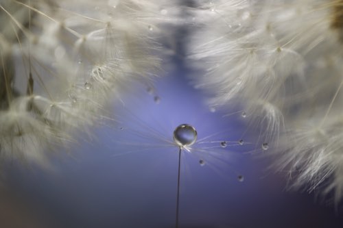 Magical Winterscapes: When Diamond Dust Becomes Sun Pillars