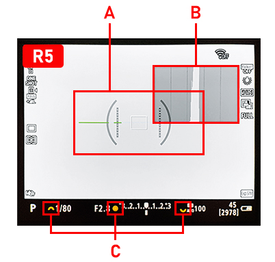 canon r5 electronic level