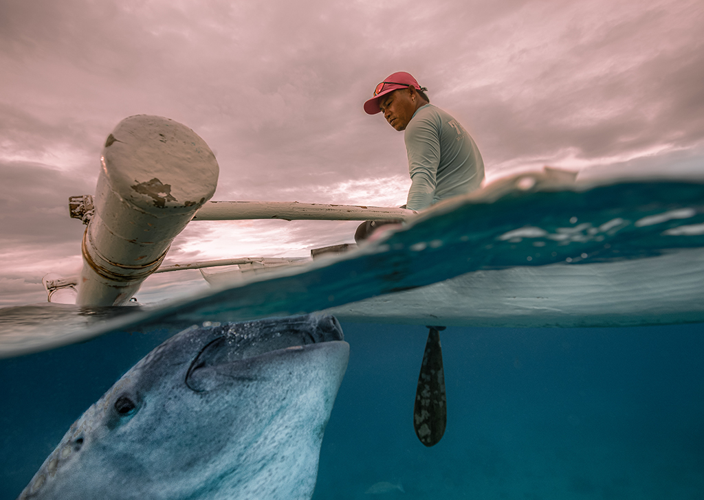 Over-Under: A Split Underwater Photography Concept