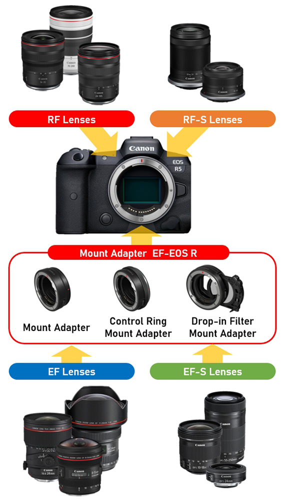 RF Lenses Vs EF Lenses What s The Difference And How To Decide 