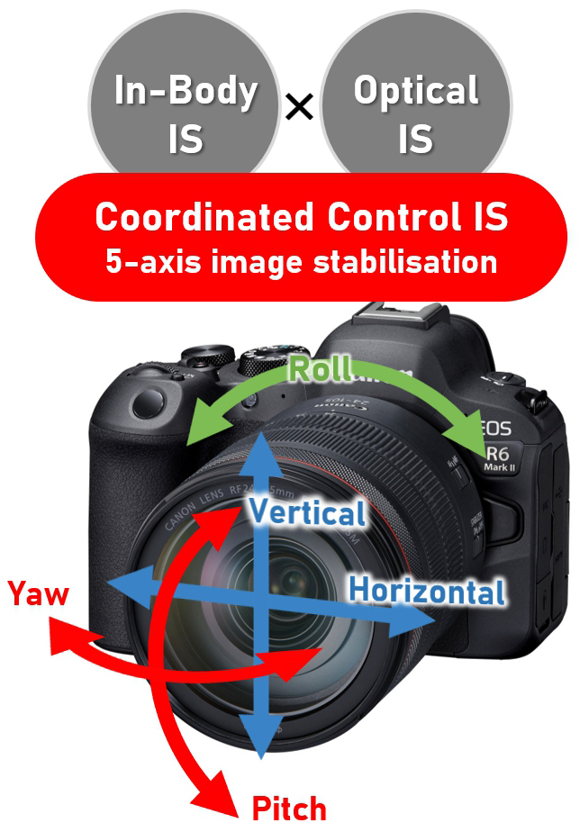 Canon EOS R6 Mark II - How to set up your new camera: Digital