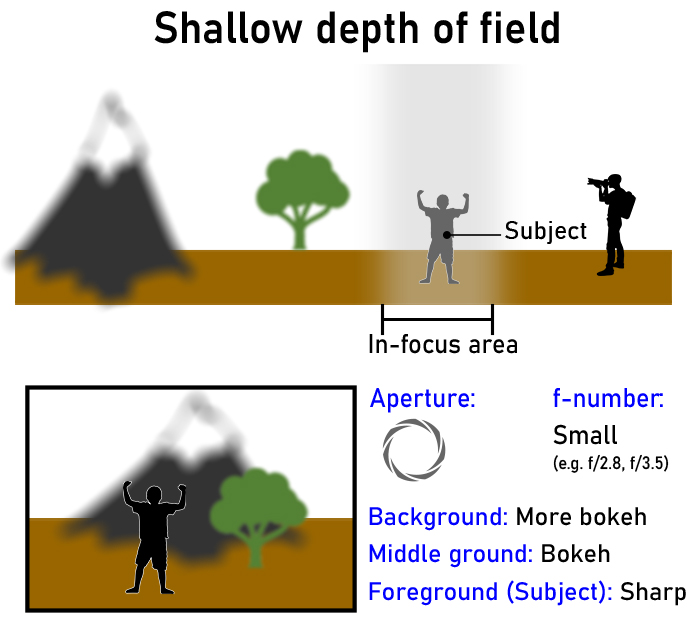 Reference field