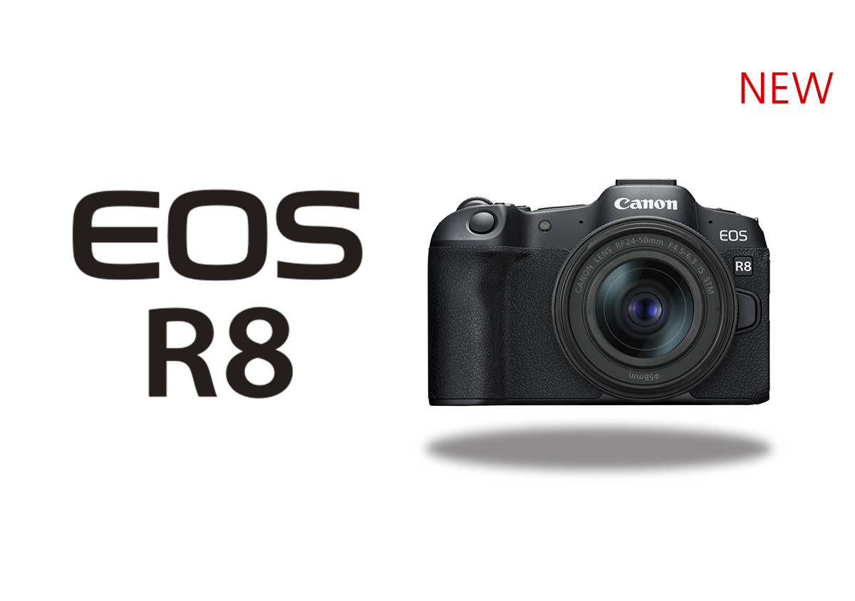 Canon Eos R8 Online Www simpleplanning
