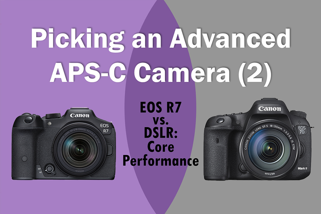 Mirrorless (EOS R) - EOS R7 (Body) - Canon Malaysia