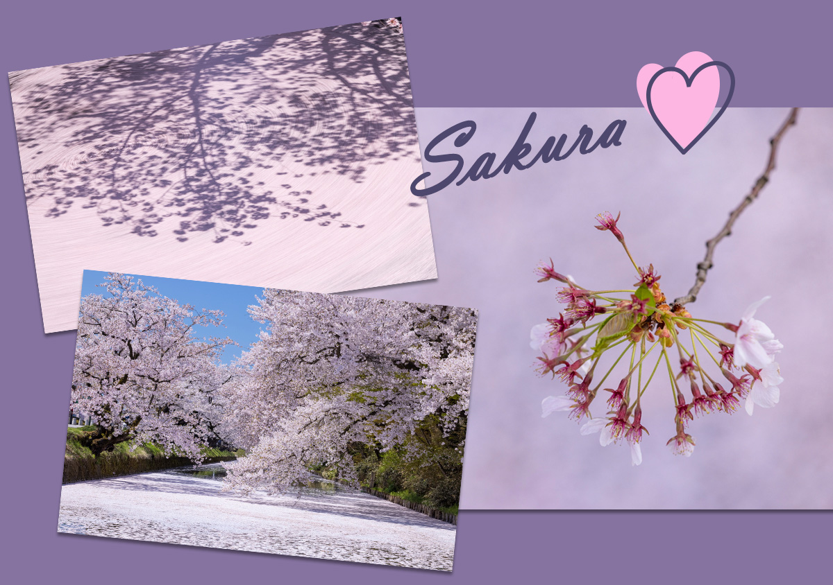 Uy qurilishi jinsiy aloqa video MFM Shvetsiya