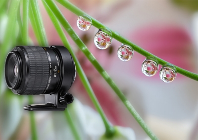 Why Professional Photographers Love the MP-E65mm f/2.8 1-5x